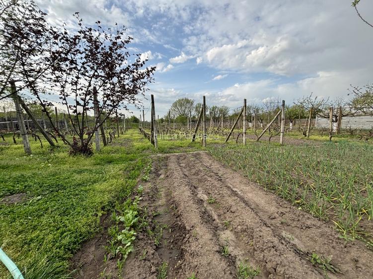 Casa și teren de vânzare Rogova - 3