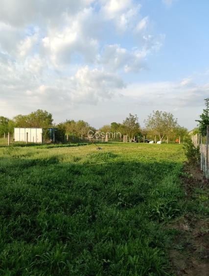 Teren intravilan cu vedere spre Lacul Buftea - 12