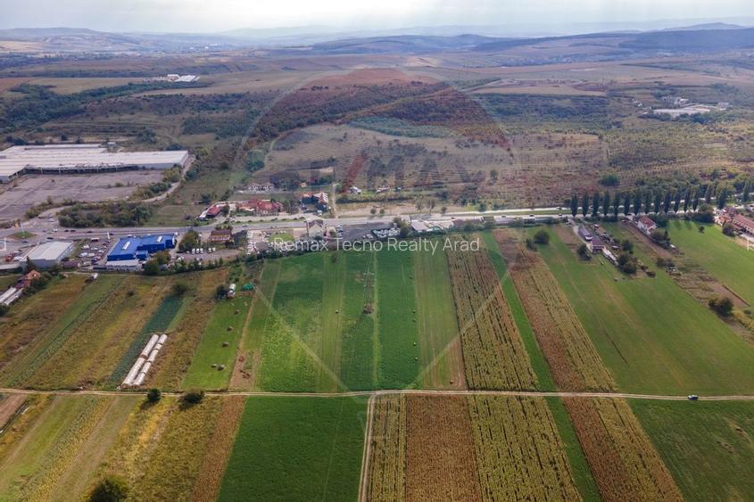 Teren 3 ha in  Deva / DN 7 in zona Hotel Alaska, Deva, jud. HD - 4