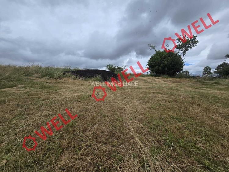 De vânzare teren extravilan loc. Sărămaș - 6