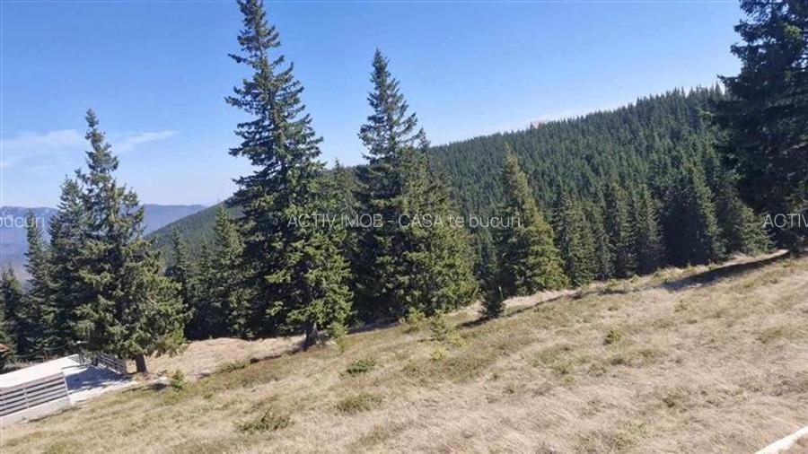 Casa de vacanta - 1.800 mp - Varful lui Roman - Horezu - 3