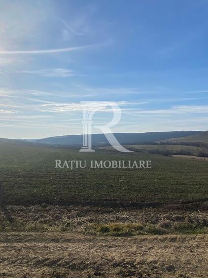 Teren extravilan de vanzare 3.900mp | Mierlau | Bihor