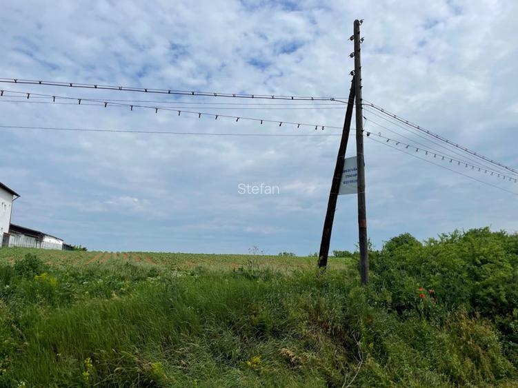 Teren Piscu intravilan,12500 mp, 15 euro mp, 30 m deschidere, toate utilitatile - 8