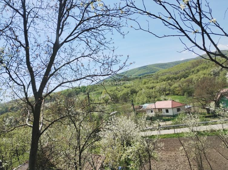 TEREN INTRAVILAN 1400 mp cu cabană și livadă, Gârbova de Sus (Aiud), zonă bună - 5