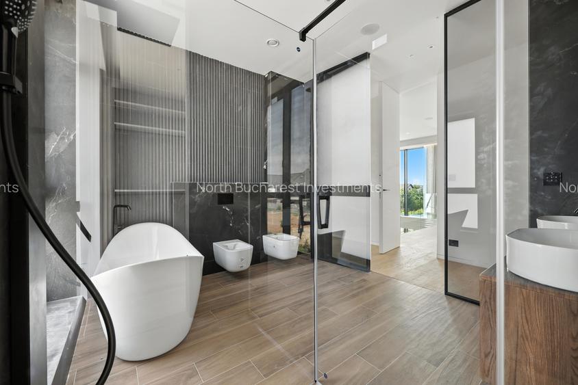 VILA - MATEI MILLO - COMISION 0% - PADURE - PISCINA - 18