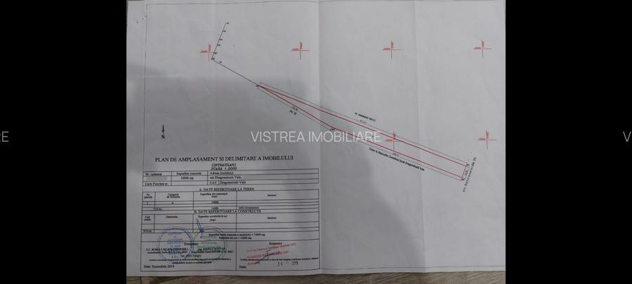 Dragomirești Vale teren intravilan 10.000 mp, asfalt si utilitati - 6