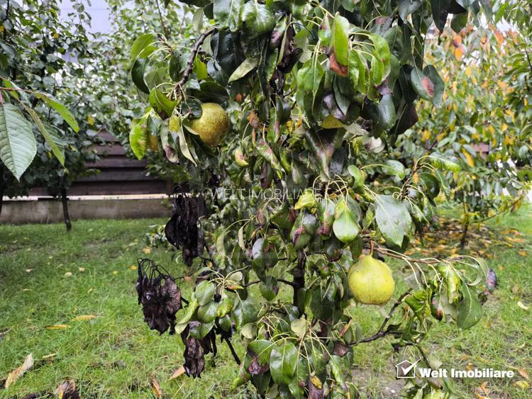 Casa individuala, 200 mp utili, 748 mp teren, Apahida, strada linistita - 29