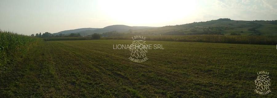 Teren 5500 mp-oportunitate investitie-pretabil cabana-Jelna - 3