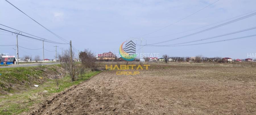 Teren extravilan – 10.000 mp, acces DN4 Frumușani, Comision 0 - 4