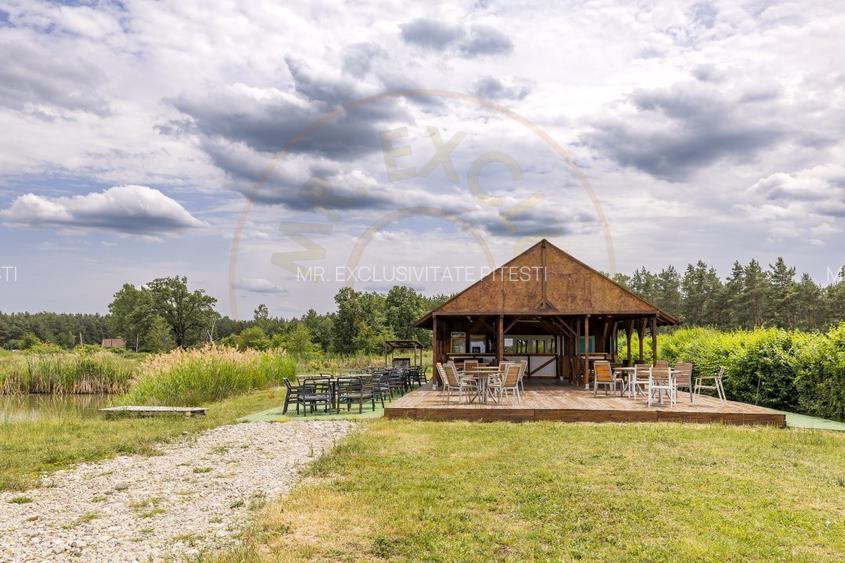 Afacere functionala - MOTEL si CAMPING cu terasa, piscina si lacuri pescuit - 20