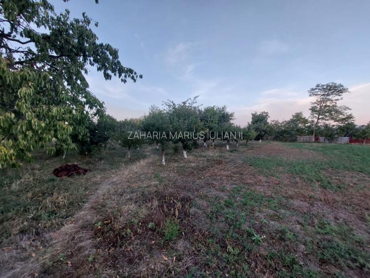 Casa batraneasca bine intretinuta in Bahna - 11