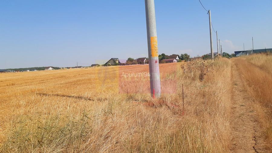 Teren pentru casă/case în Brănești pe strada Toporași - 8