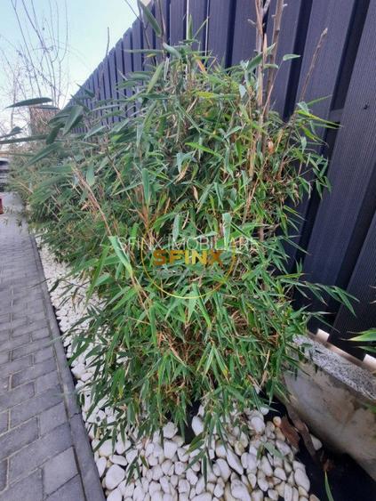 Iancu Nicolae Jolie Ville, vila noua de vanzare, 7 camere, 4 locuri de parcare - 54