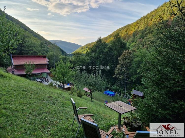 Casa de de vanzare in Pianu- Strungari - 8