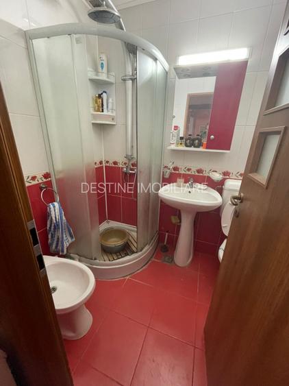 Apartament 3 camere decomandat ,Valea Ialomiței - 9