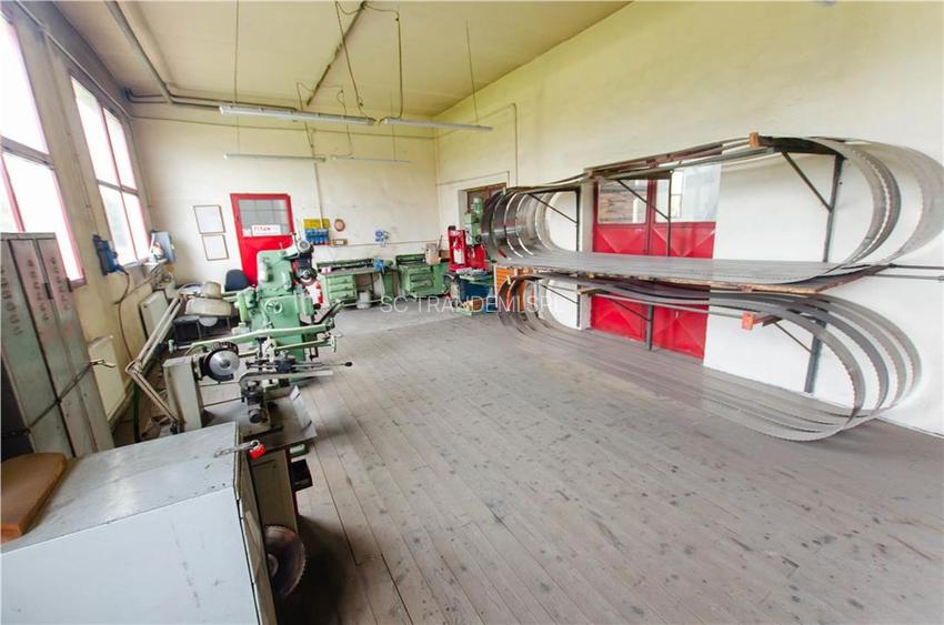 Hala industriala de 2700mp cu 3,1 ha teren intravilan in Miercurea Sibiului - 25