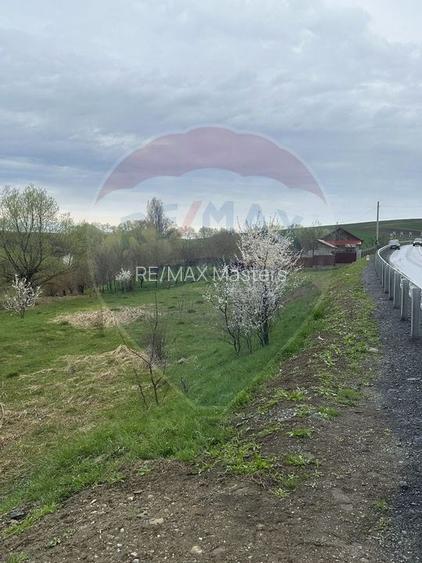 Teren 2,700mp Scheia / DJ 209C - 9