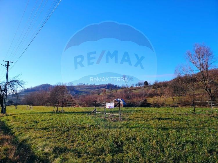 COMISION 0%  Teren intravilan de vanzare in Barsana (26 ARI) - 8