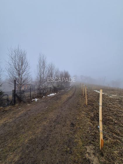 Teren cu priveliste deosebita /muntii Bucegi,in sat Pestera/Moeciu zona La Odai - 10