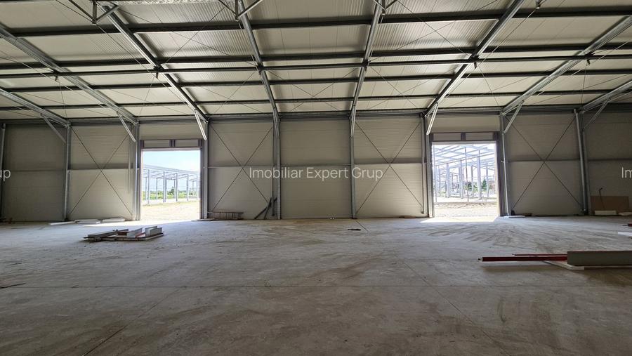 Hale noi in zona industriala Progresul, Jilava - 7