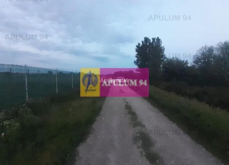 Teren aproape de Bucuresti langa padure - 9