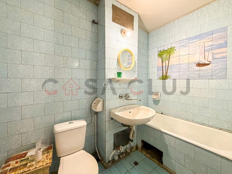 Apartament 2 camere cu vedere spre Somes, Grigorescu - 10