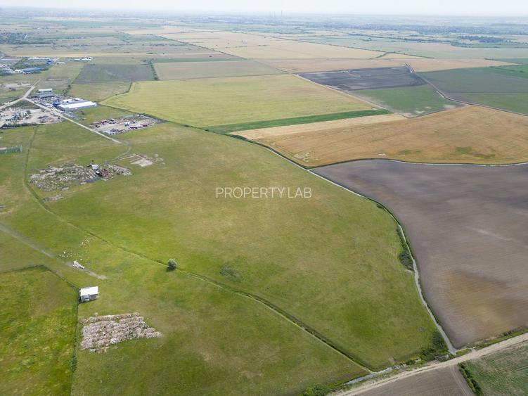 Teren intravilan de 29,970mp Sacalaz - 19