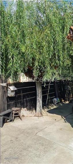 CASA PE COLT IN SIRIA CU TEREN MARE - 8