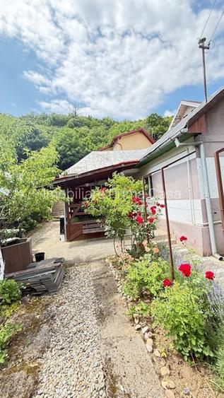 ZONA PARC - Valea Rosie (sus) casuta + vila cu teren 834mp finisate! - 26