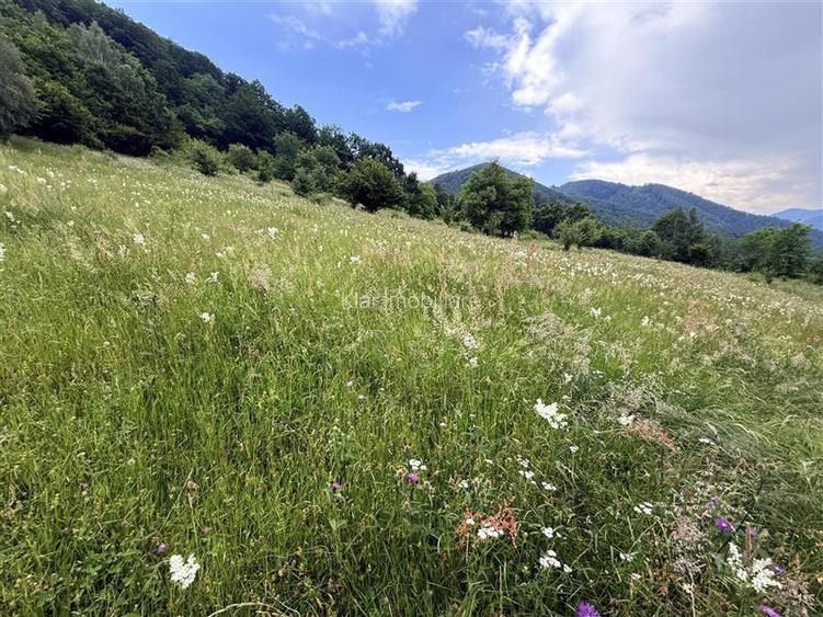 Comision 0%teren Somesu Rece zona Cabana Bradet - 5