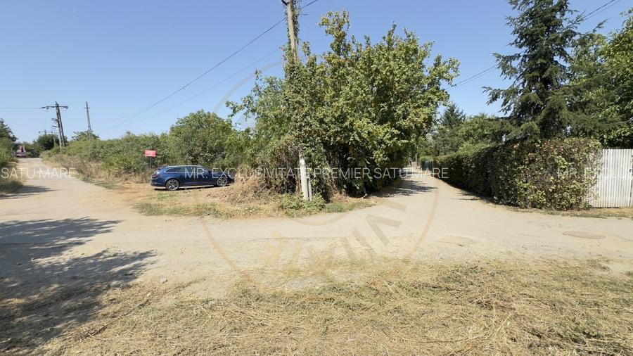 De vanzare Teren extravilan 2000 mp Carei - Gradina Viilor, Valea Tireamului - 8