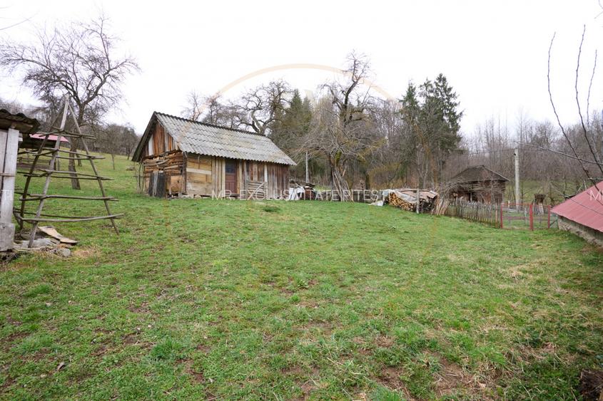 Casa  la munte cu teren generos in Com. Nucsoara, loc. Slatina jud. Arges! - 10