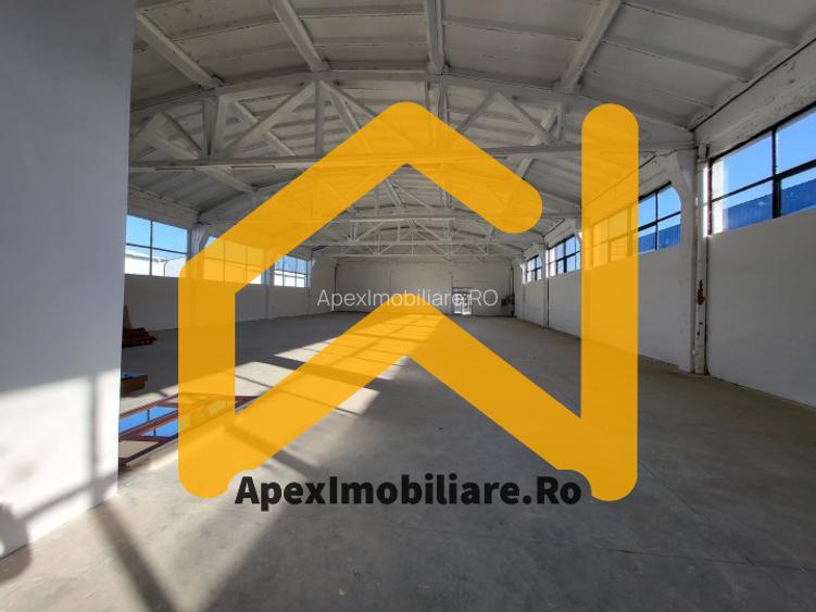 Hala Industriala Xenia – 1800 mp, Acces TIR, Parcare 50 Auto - 24