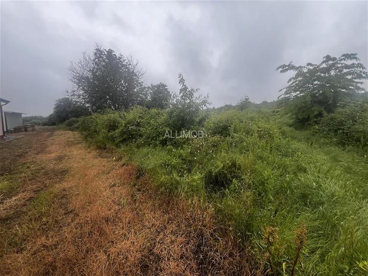 Teren intravilan, 1000mp, in Valea Calugareasca. - 5