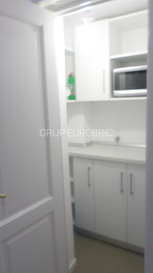 CASIN, AVERESCU, parter in VILA, LUX, nemobilat, utilat, curte mare, superb - 8