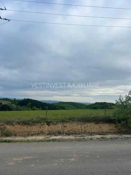 TEREN DE VANZARE IN SINTEU - 3