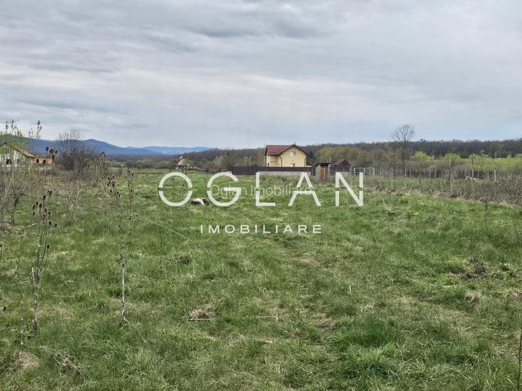 Teren intravilan de 500 mp in Calea Cisnădiei, Sibiu - 2