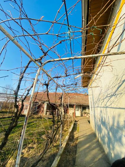 Casa pe parter, 2.753 mp teren, Marotinu de Sus, Celaru - 2