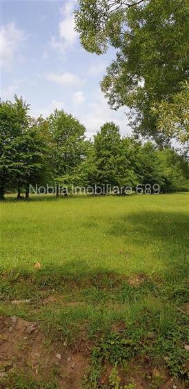 TEREN DE VANZARE 500O MP PUNCT CHETRIS CERDAC SLANIC MOLDOVA - 4