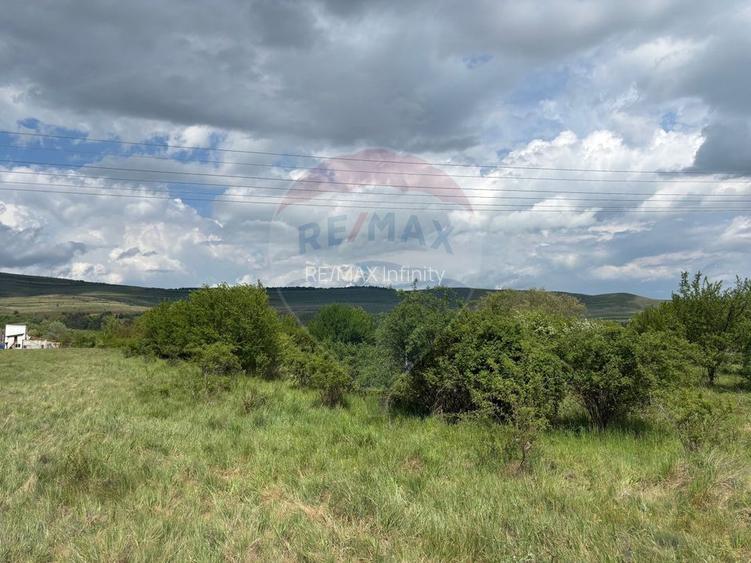 Teren de vanzare 13783mp, front la DN, parcela unica zona de vest - 8