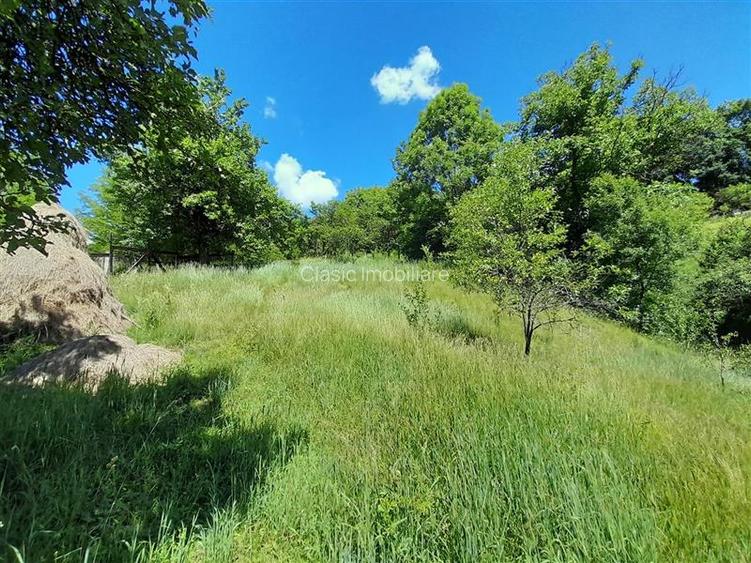 Vanzare casa cu anexe si 5500 mp teren, Valea Ariesului, Salciua - 6