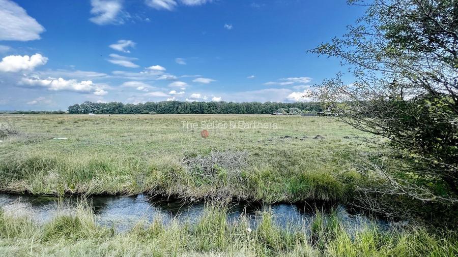 Teren Extravilan - 9