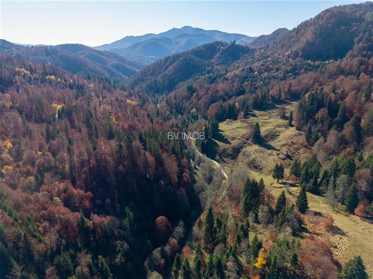 Teren de Vis langa Siriu  – 20000 mp ideal pentru Complex turistic Comision 0% - 12