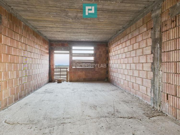 Proprietate impresionantă între Curtici și Macea - 16