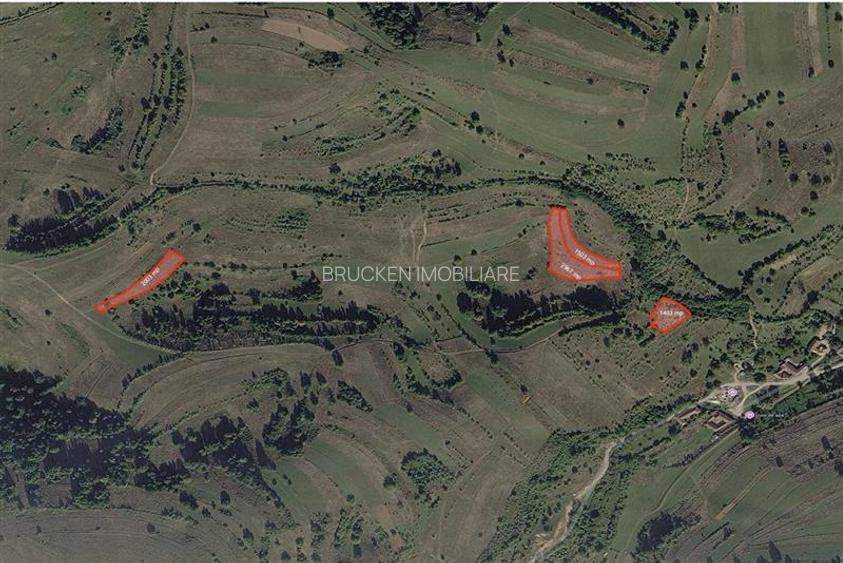 Portofoliu funciar de peste 10 hectare | Izbuc - Carpinet | Jud. Bihor - 7