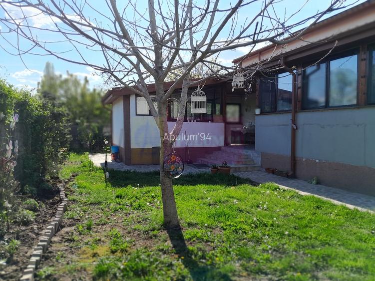DE VANARE CASA P+M 5 CAM  GIURGIU - 32