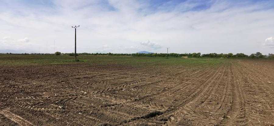 TEREN AGRICOL DE VANZARE - BOD - BRASOV 4,5 HA