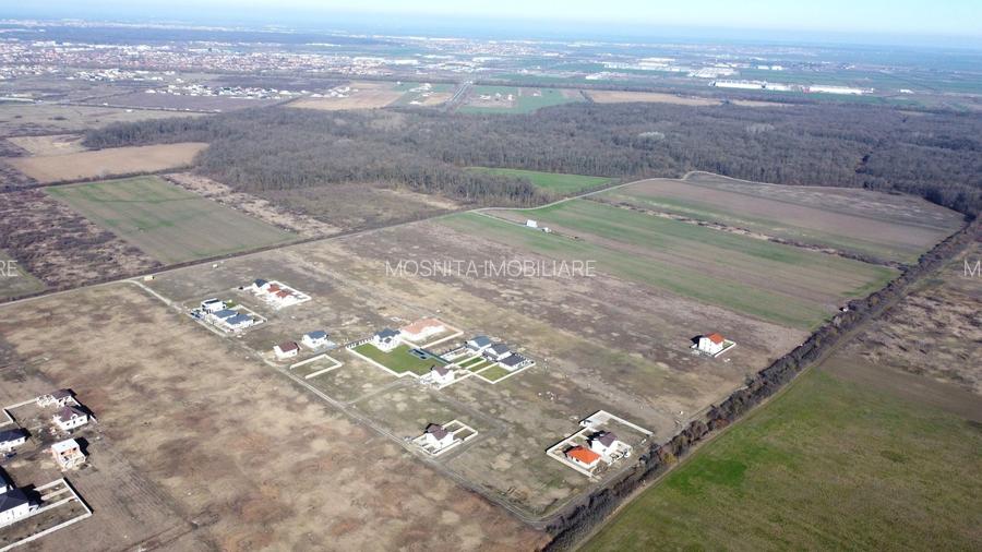 Terenuri Mosnita, Padurea Bistra, gaz, apa, curent: 80euro/mp+TVA - 5