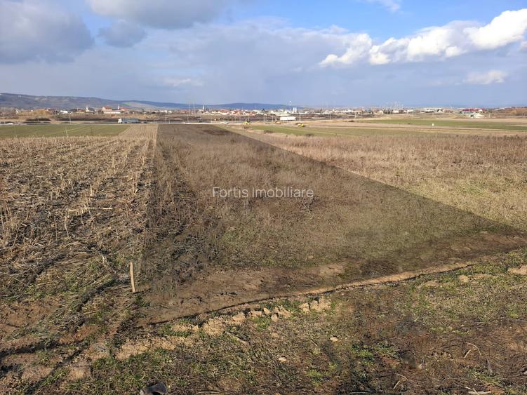 Teren industrial zona Centura Osorhei - Sensul giratoriu spre Sanmartin - 3