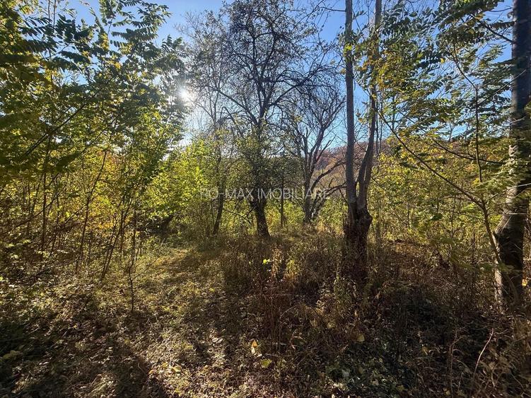 Teren langa pădure 6400mp+casa demolabila-deschidere 35 ml - 7